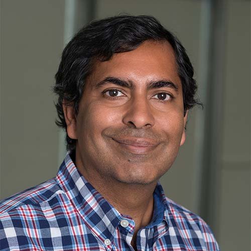 Sanjeev Setia