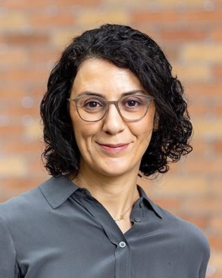 Hannaneh Hajishirzi